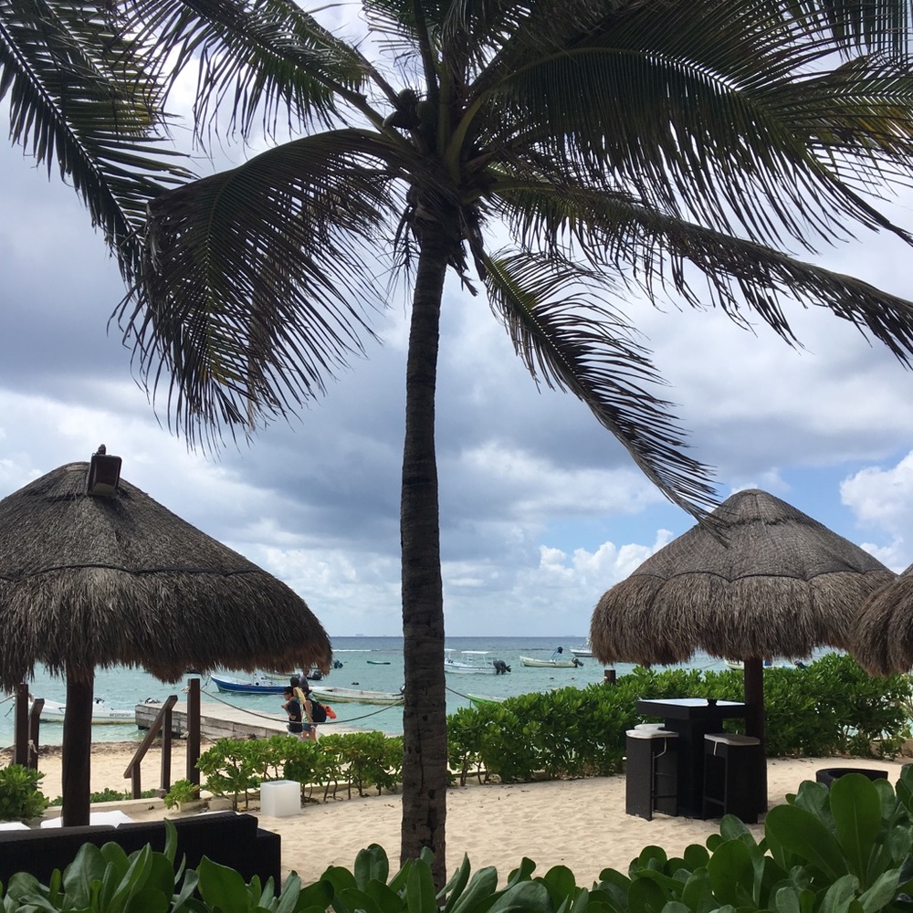 Meet your Posher, Jazmin